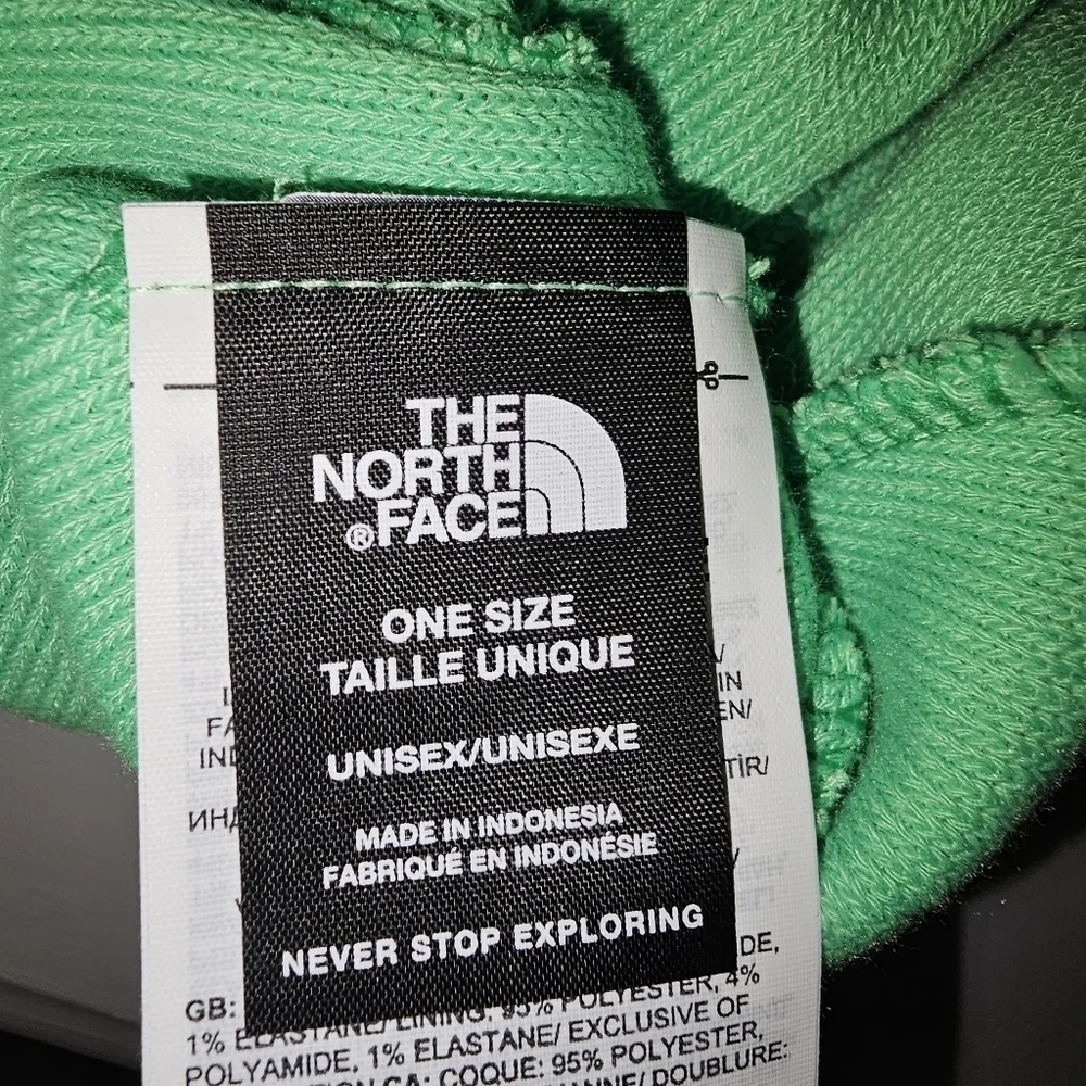 The North Face Men's Dock Worker Recycled Beanie Chlorophyll Green winter hat